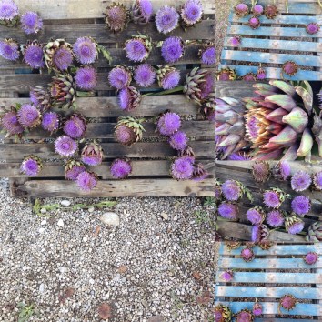 f59fc082-2f1e-46d2-bc6c-a641ecdc263b