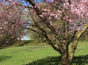 608216f6-8848-4a6d-819e-816071fcc371