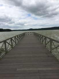 8ac9821a-b21e-409d-899f-60c7f20490f4